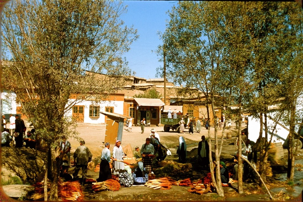 Французский турист в Узбекистане 1956 года имени, колхозе, недалеко, Аральского, Ташкент, Сталина, через, северу, побывал, общий, Дюпакье, видТашкент, мореНа, Аральское, пустыниТашкент, СырДарья, впадения, моряМесто, пустыняБерега, моряЦентральноАзиатская