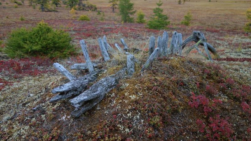 Стойбише оленеводов. история, путешествие, факты