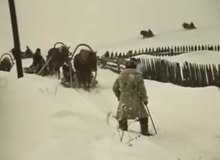  женщин привезли в Сибирь. 