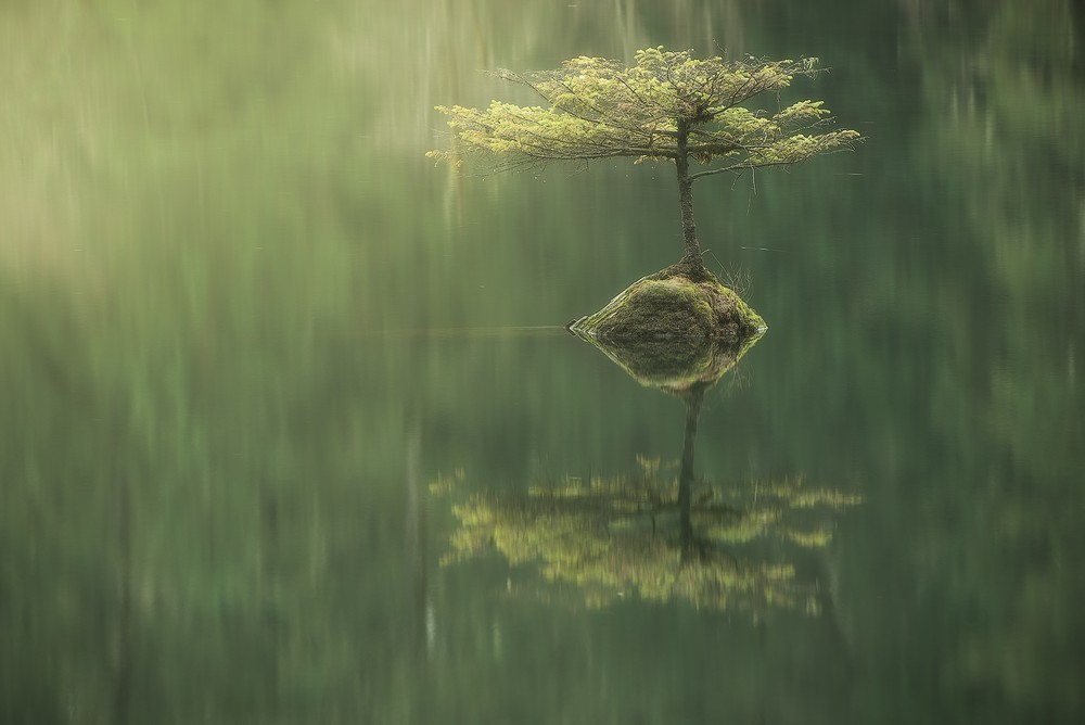 Красота девственной природы природа