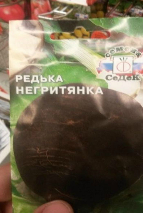 18 головокружительных объявлений, надписей и вывесок 