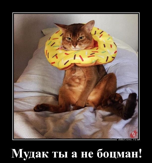 Утренние демотиваторы для поднятия настроения и позитивных эмоций Утренние демотиваторы для поднятия настроения и позитивных эмоций демотиваторы свежие,приколы,смешные демотиваторы,юмор