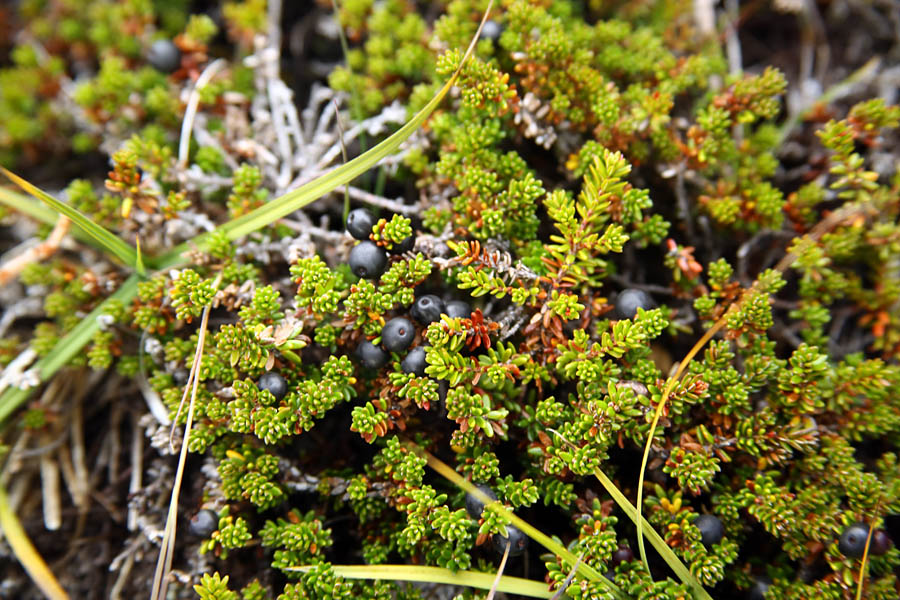 На краю света на яхте путешествия