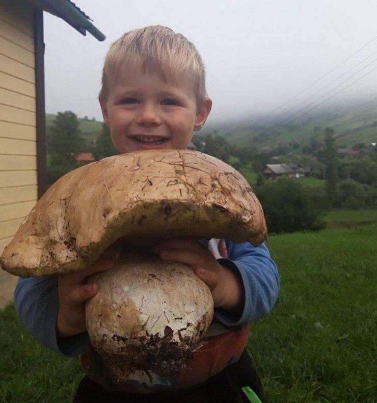 Подборка прикольных картинок  приколы,смешные картинки,юмор