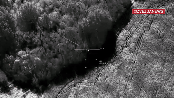    "Иноходец" разнёс самоходную артиллерийскую установку ВСУ//Скриншот страницы ТГ-канала "Кирилл Фёдоров"