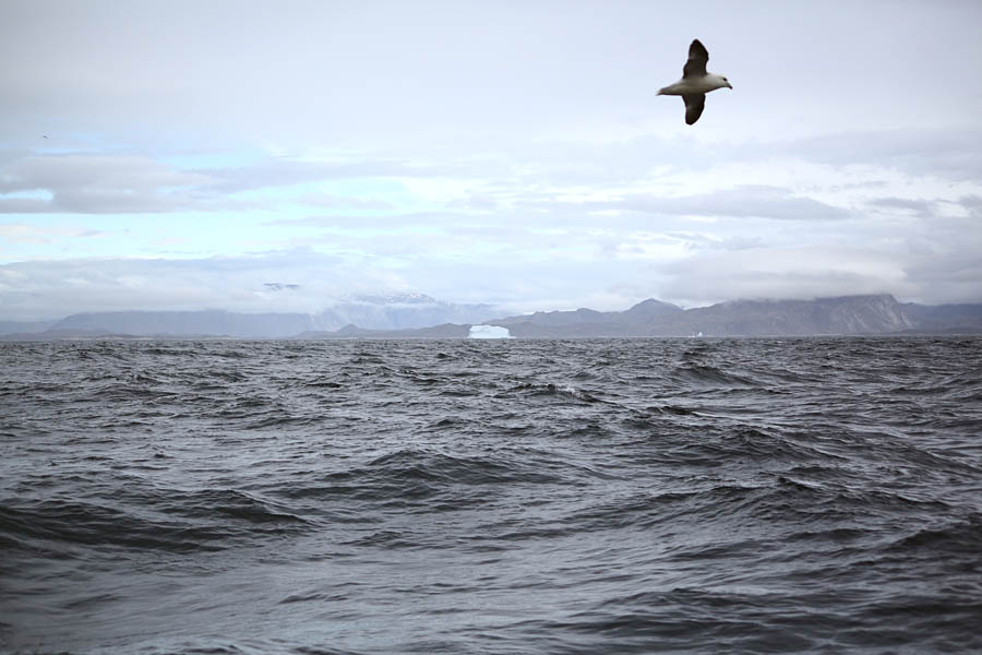 На краю света на яхте путешествия