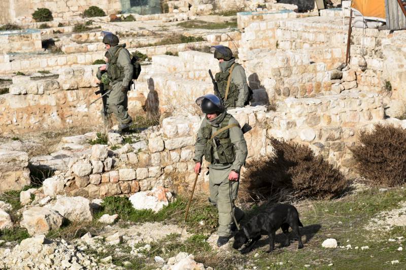 Самая известная крыса-сапёр в истории Самая известная крыса-сапёр в истории история