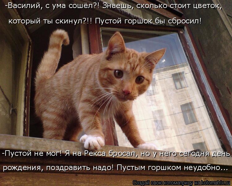 Котоматрица: -Василий, с ума сошёл?! Знаешь, сколько стоит цветок, который ты скинул?!! Пустой горшок бы сбросил! -Пустой не мог! Я на Рекса бросал, но у него 