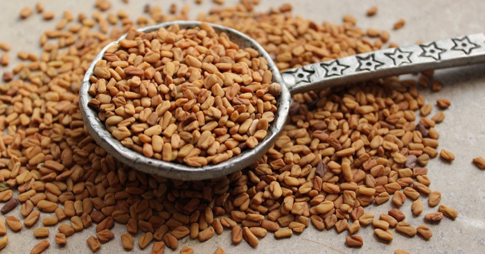 пажитник его польза