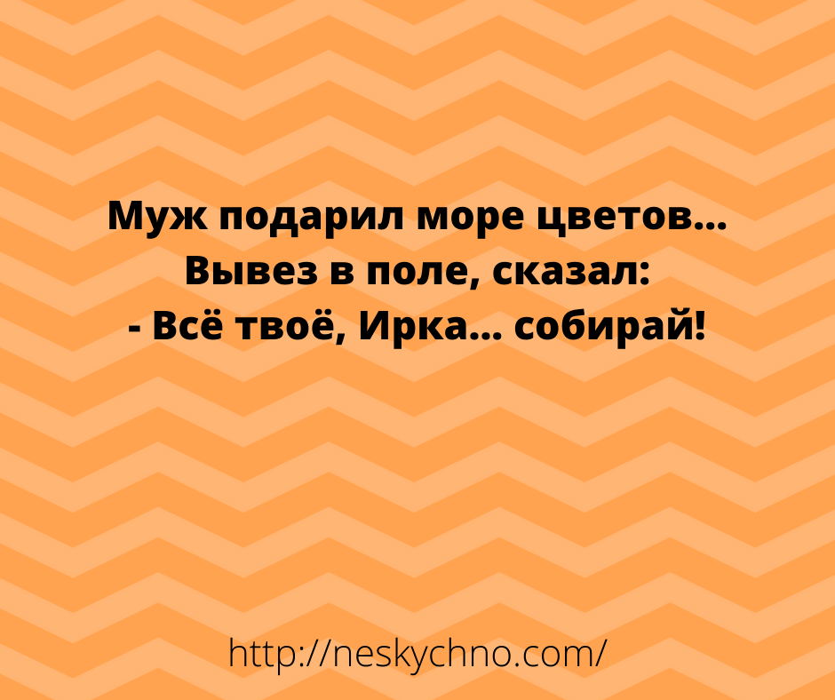 Несколько забавных историй для отличного настроения 