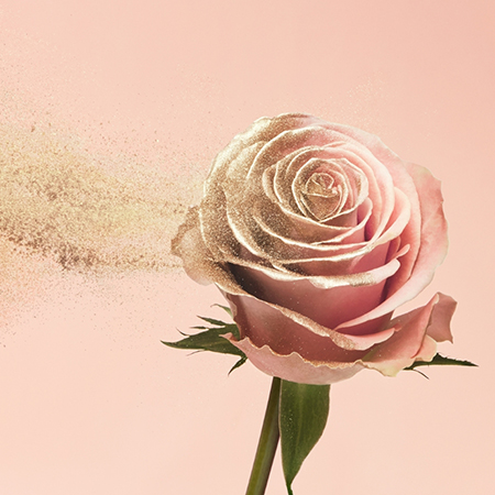 Набор для скандинавского сияния кожи, блески-стейны и другие бьюти-новинки недели новости красоты