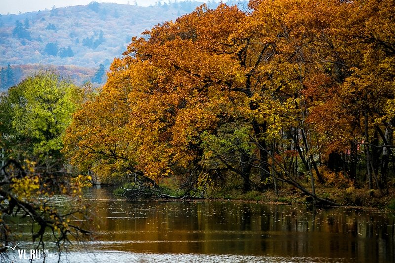 Владивосток осенью фото