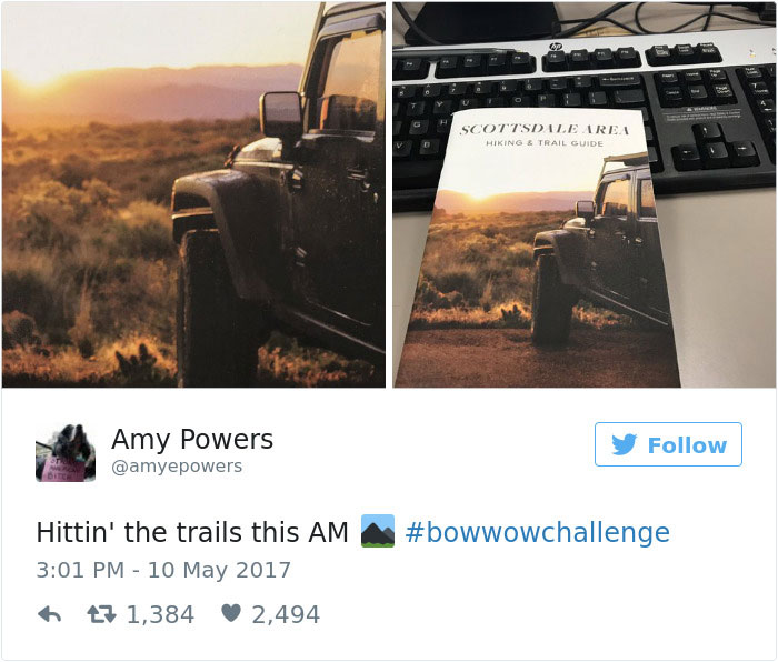 Bow Wow Challenge