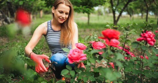 Для салатов и напитков: 5 съедобных цветов, которые наверняка есть у вас на даче