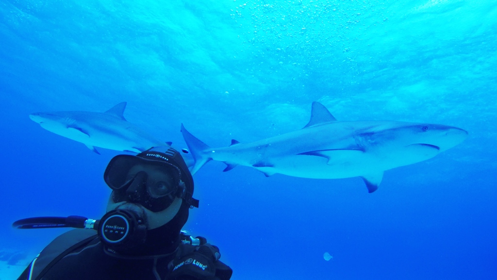 Daymond John Shark Week.jpg