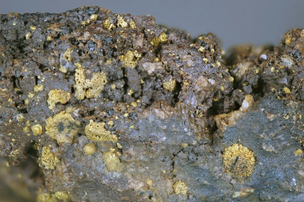 Золото Якутии: «Росатом» окажет помощь в поиске редкого металла