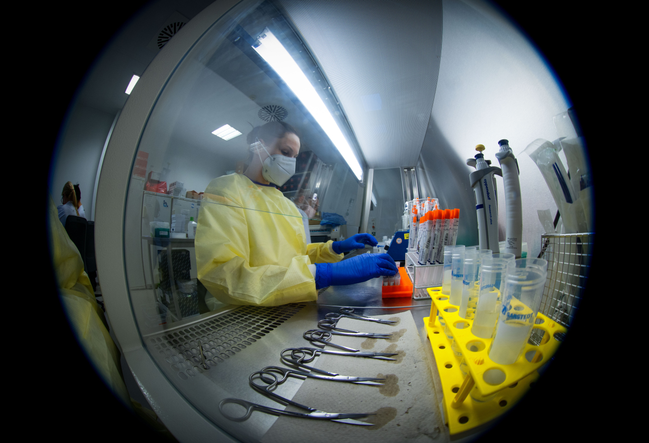 Во Владимирской области выявили еще 20 случаев коронавируса за сутки