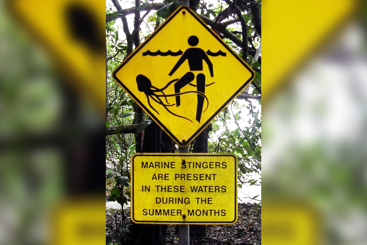 Указатель, предупреждающий о кубомедузах на пляже Кейп Трибьюлейшн (Cape Tribulation) в Квинсленде, Австралия