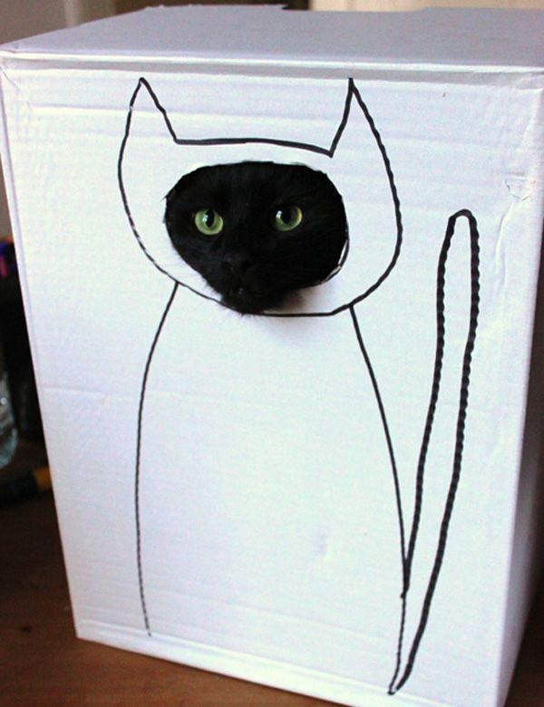 Хозяин, выпусти! 