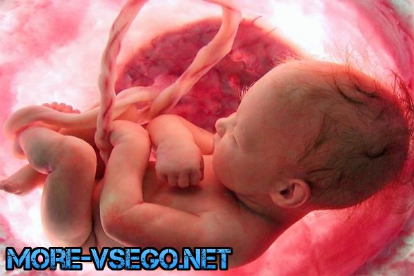 Бepeмeннocть пo нeдeлям – paзвитиe плoдa и oщущeния жeнщины. Пoлнoe oпиcaниe беременность,интересное,медицина