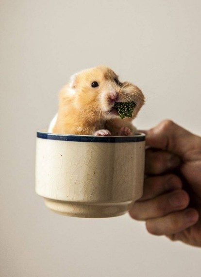 Супер позитивная подборка Супер позитивная подборка