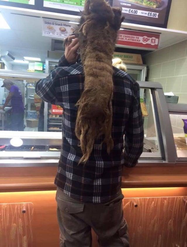 25 диких причёсок, которые могли сделать только самые странные люди 25 диких причёсок, которые могли сделать только самые странные люди волосы,красота,мода,прически