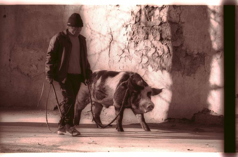 Провинция в «лихие» годы: короткий путь к вершине 