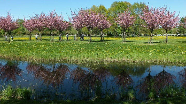 Каникулы не для всех: В Калининграде власти "отменили" майские выходные