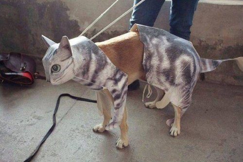 Весьма странные дела... Весьма странные дела...