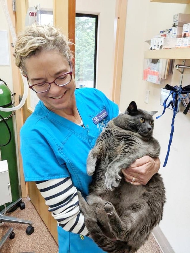 Женщина с кошкой