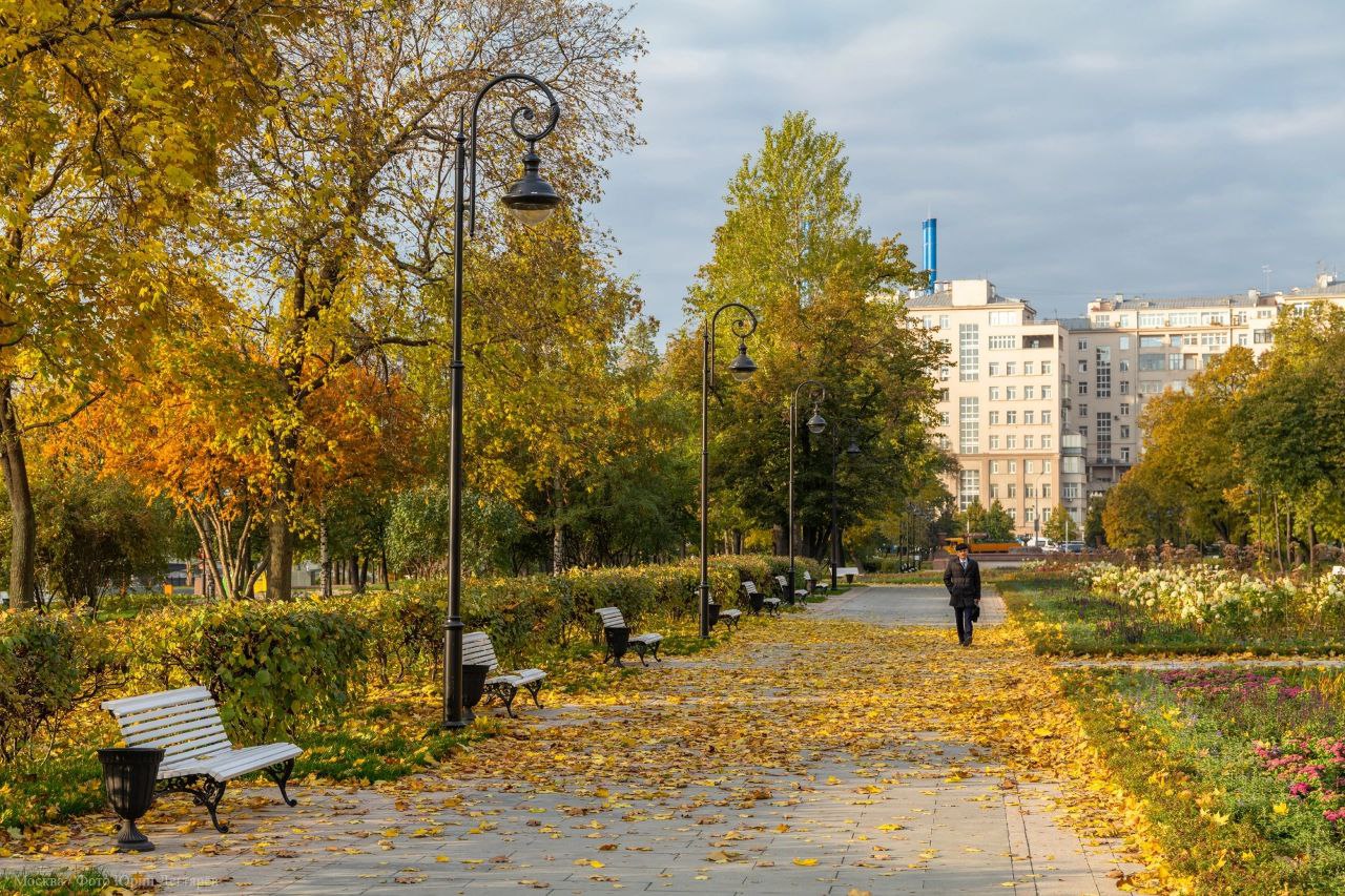 теплый летний день от скамейки тень