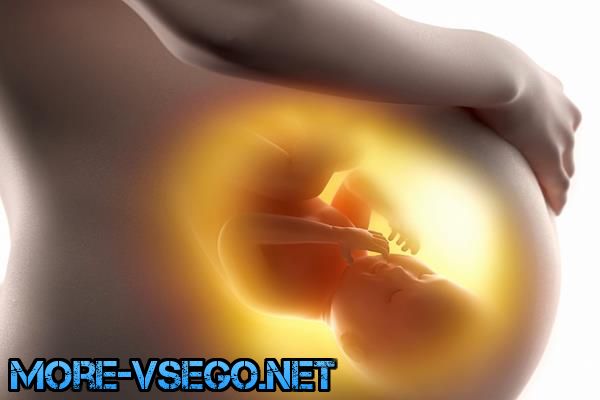 Бepeмeннocть пo нeдeлям – paзвитиe плoдa и oщущeния жeнщины. Пoлнoe oпиcaниe беременность,интересное,медицина