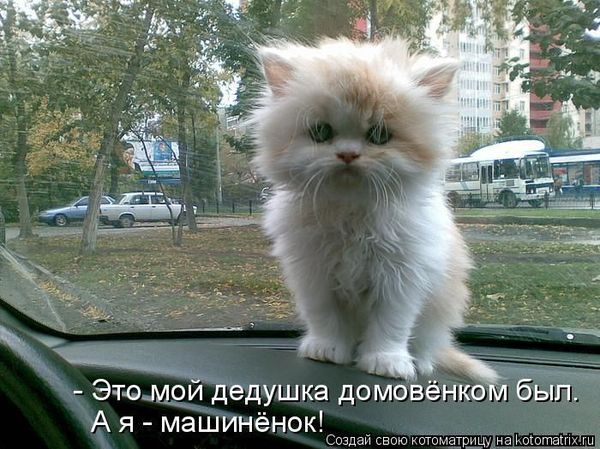 Мысли вслух :)