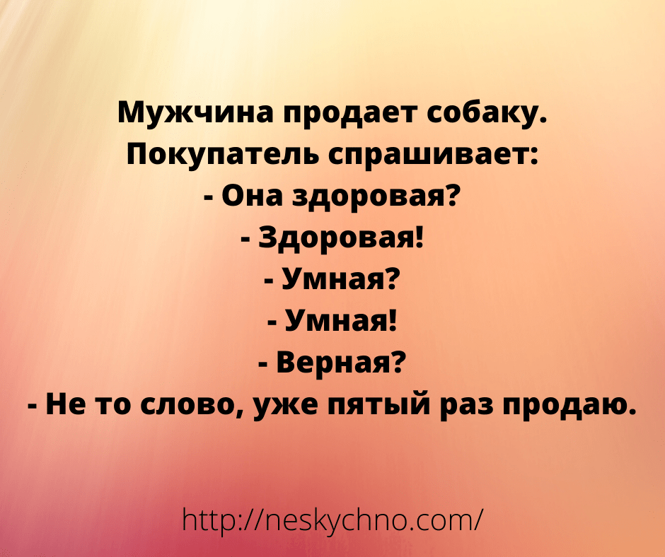 Великолепная подборка юмора для классного настроения Великолепная подборка юмора для классного настроения