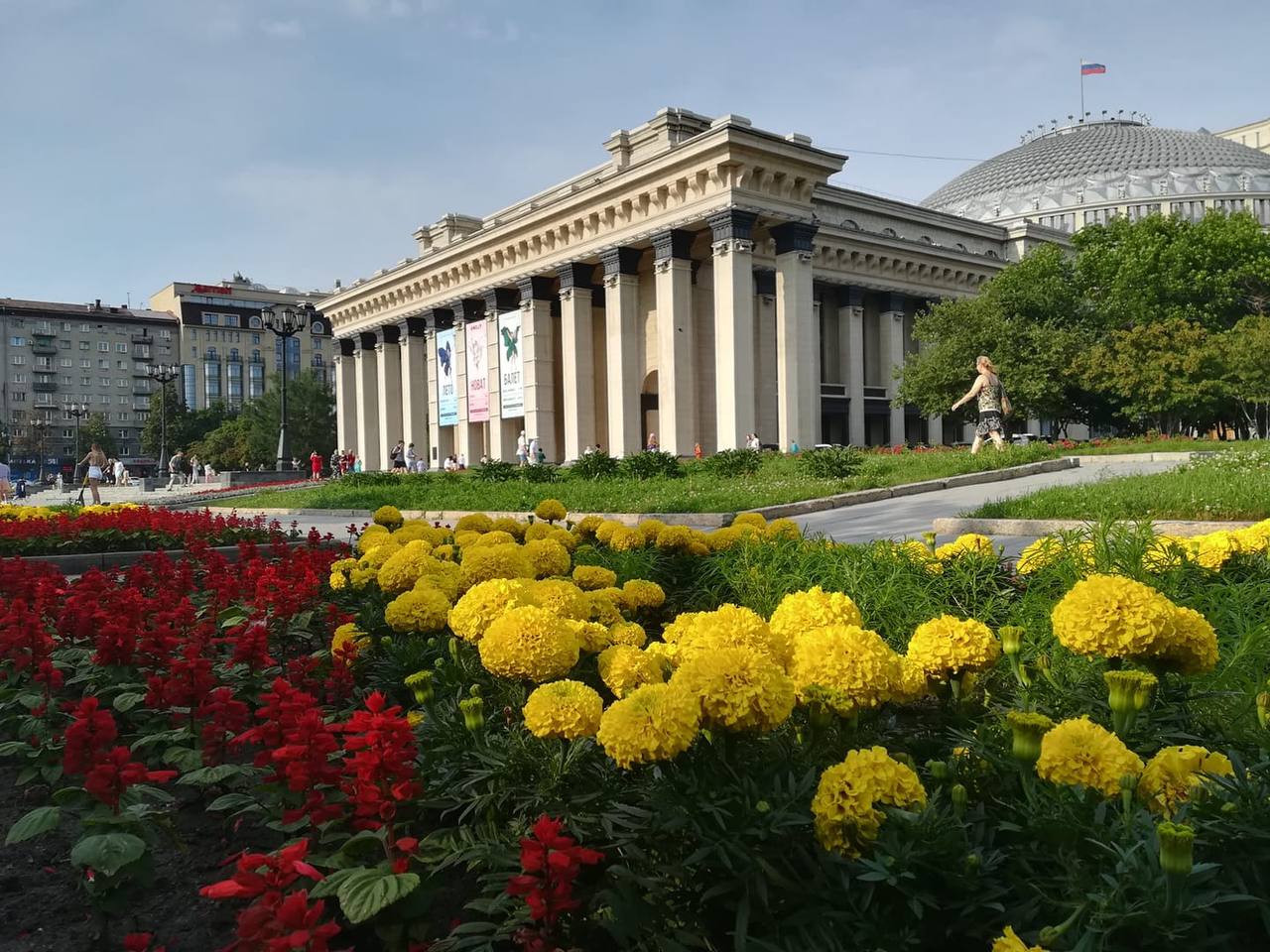 Клумбы в цветах флага России: В Новосибирске высадят свыше 330 тысяч цветов
