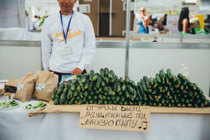 Смешные картинки ярмарка, учитель картинки анимация