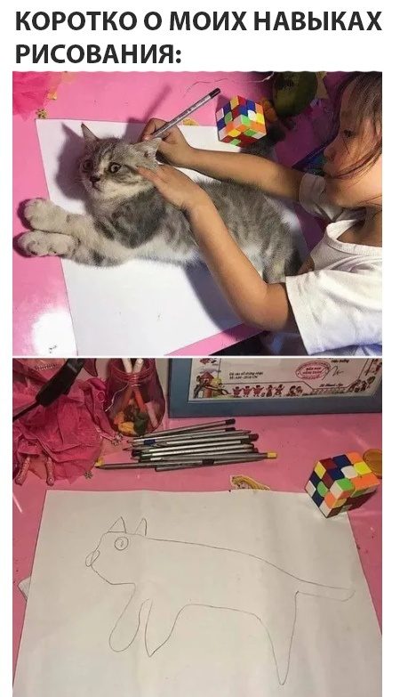 Прикольные картинки и комментарии Прикольные картинки и комментарии