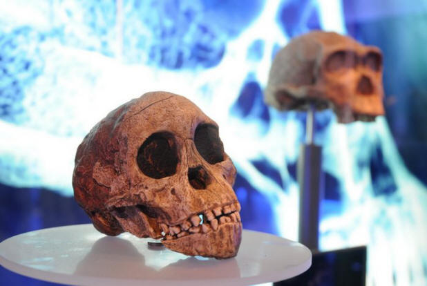 Загадки века минувшего интересное, история