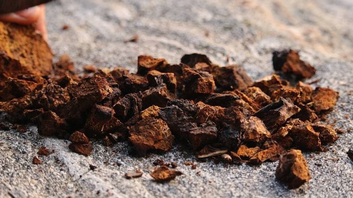 Читатель китайского портала Sohu восхитился средством из России для лечения рака Читатель китайского портала Sohu восхитился средством из России для лечения рака Общество