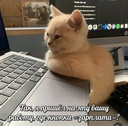 Смс от мобильного оператора: 