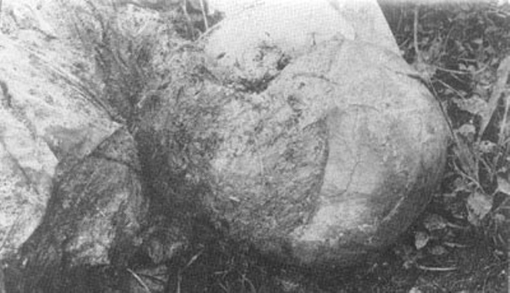 Харьков. Фотография головы архимандрита Родиона, Спассовский монастырь, оскальпированный большевиками. 