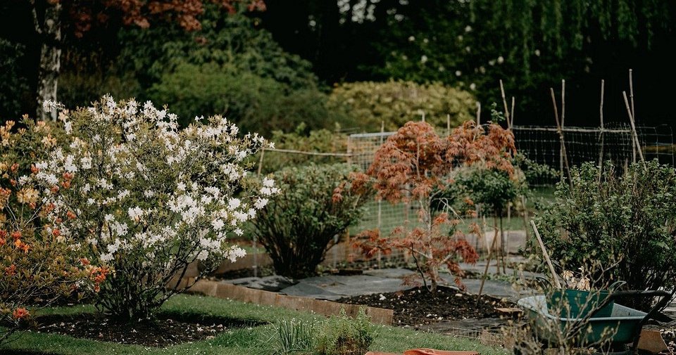 8 классных решений для сада, от которых часто отказываются  