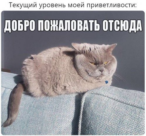 Фотоприколы и смешные картинки Фотоприколы и смешные картинки