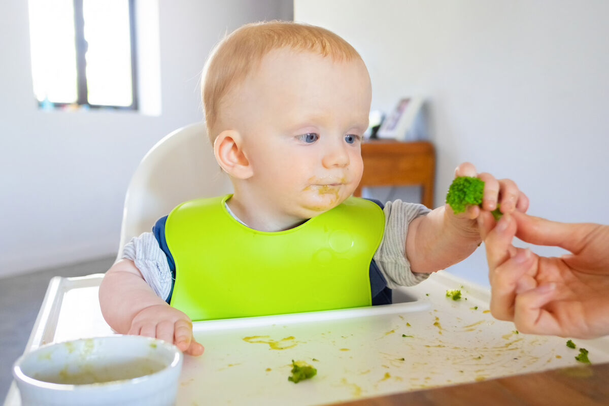 Психологи Мешкова и Пырьева: каждый ребенок требует индивидуального рациона и количества приемов пищи