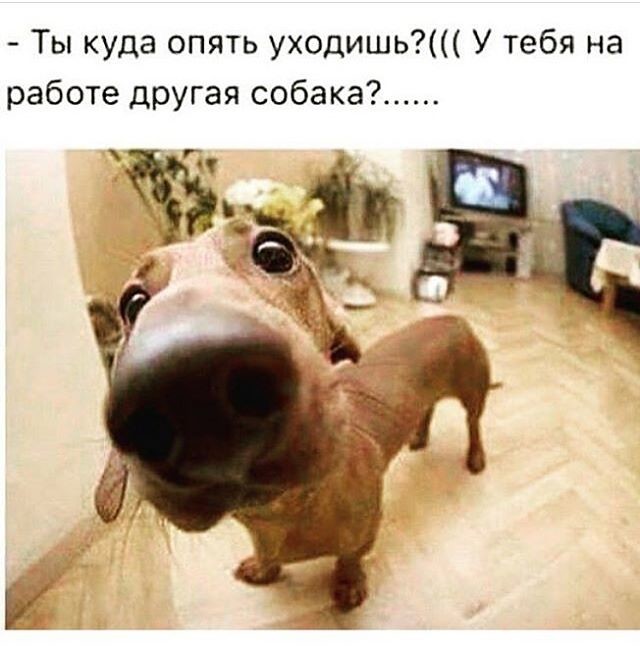 Ревность - ужас в нашей жизни интересное, особенности, ревность, чувства