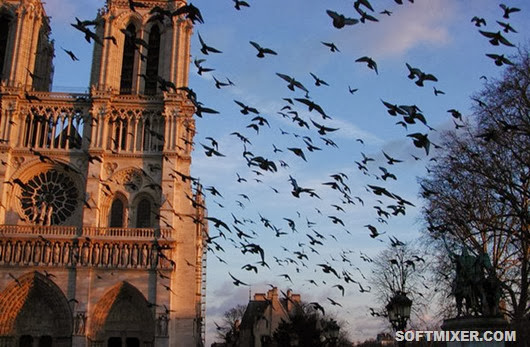 Нотр-Дам де Пари: Каменный ребус Парижа Нотр-Дам де Пари: Каменный ребус Парижа