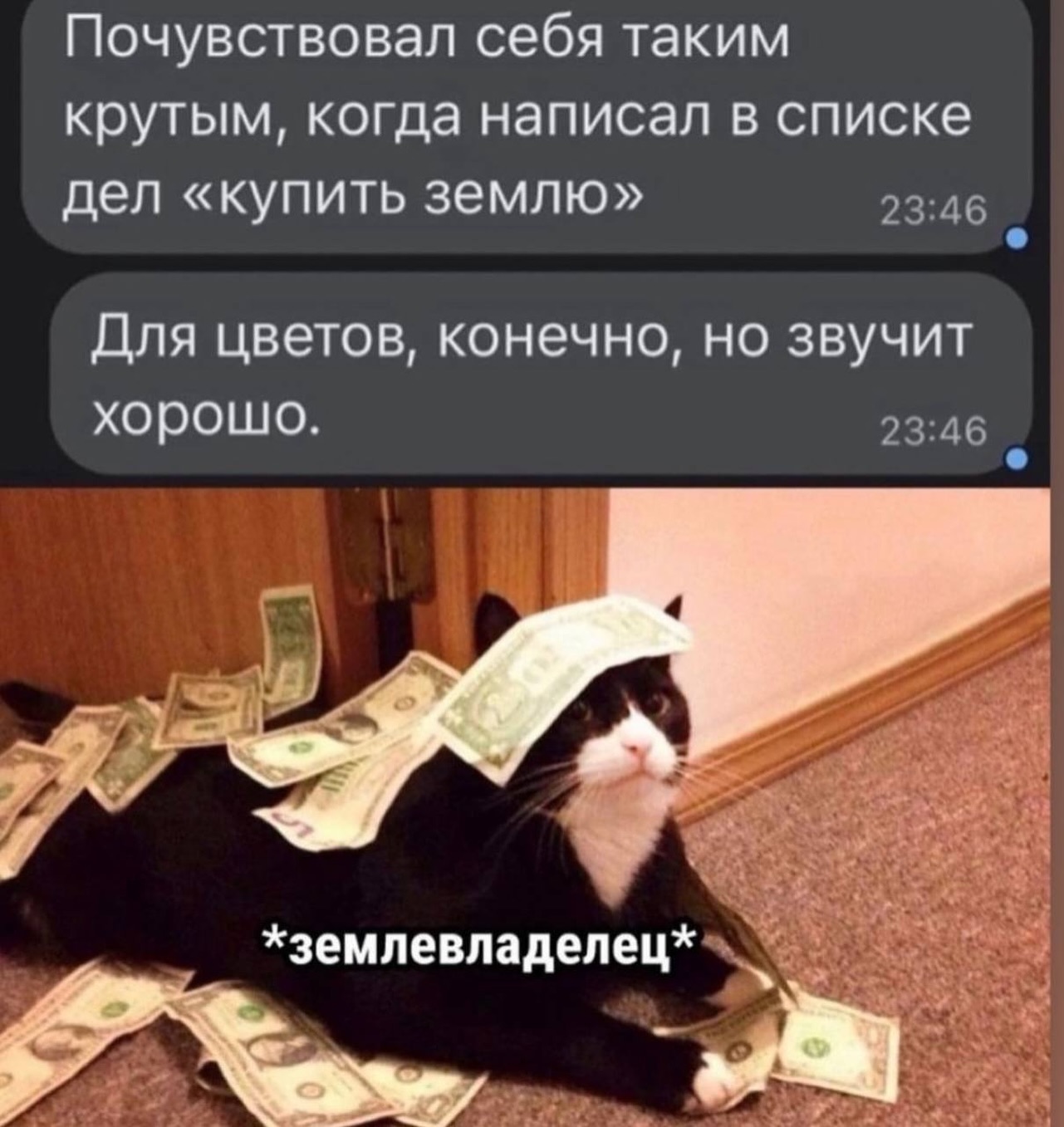 Весна, хочется влюбиться, но жена и теща против... Весна, хочется влюбиться, но жена и теща против... Скандинавские, лениным, новых, сапогах, юностью, облаках, небом, мешке, котом, майне, франкфуртом, разливе, незнайкой, палки, кухне, хозяйкой, должна, Женщина, палками, ходишь