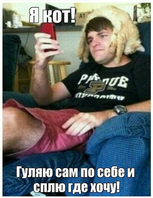 Свежие улетные картинки 