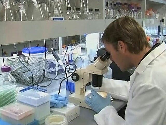 Ученые России и Финляндии разработали наночастицы, помогающие бороться с онкологическими заболеваниями