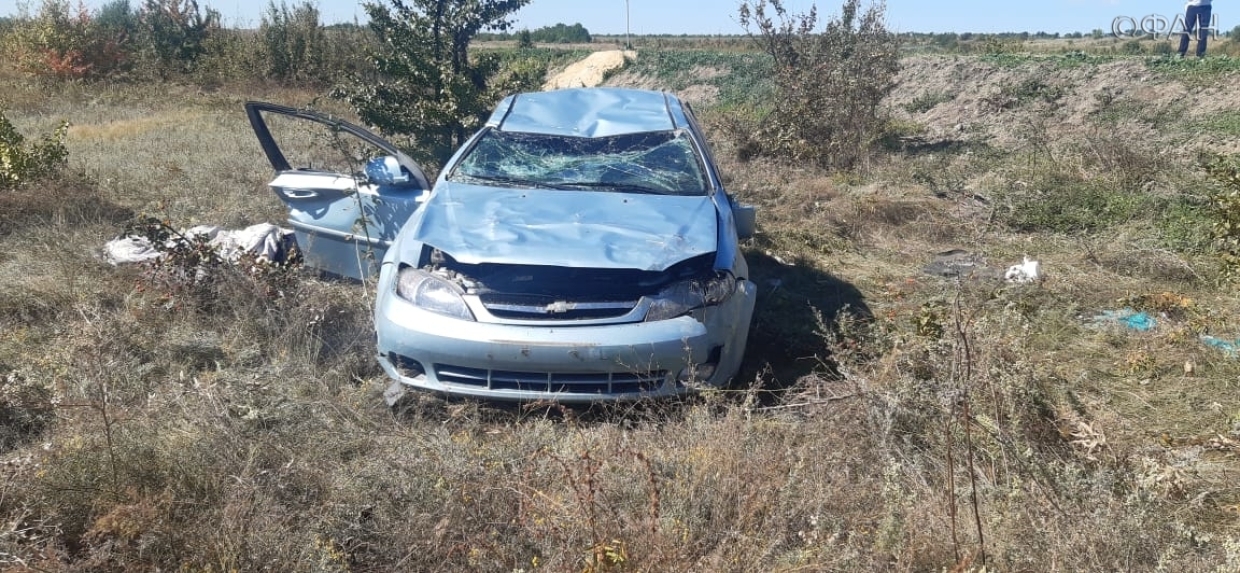 Залетевшая в салон автомобия оса стала причиной смертельного ДТП под Ростовом Происшествия